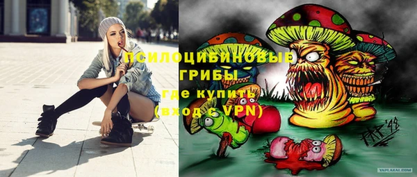 крисы Алексин