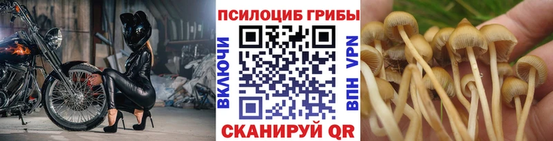 купить наркотик  Сим  Галлюциногенные грибы мицелий 